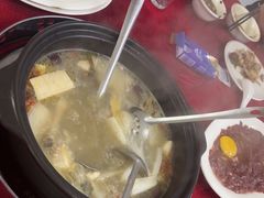 -花苑美食横琴生蚝火锅(拱北粤华路店)
