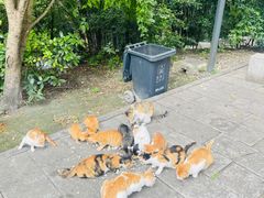 -敬亭山风景名胜区