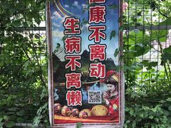 -靖西鹅泉风景区