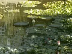 android_upload_pic-文瀛公园