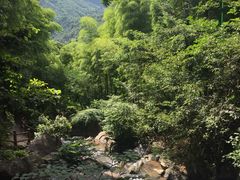 -藏龙百瀑风景区