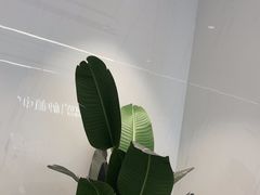 -深圳麦芽口腔医院(罗湖总院)