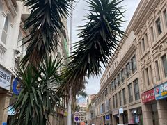 -BE NORMAL CAFE(霞溪路店)