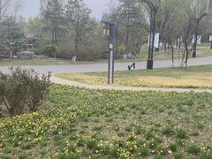 -临汾涝洰河生态公园