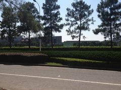 -同济大学(嘉定校区)