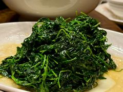 -品悦(崇明凯悦店)