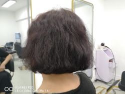 -施华蔻美发连锁