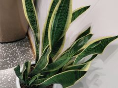 -张钰强中医正骨推拿连锁(唐家人才公寓店)