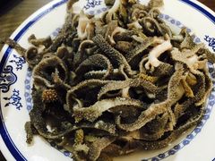 爆肚儿-老爆肚满五香烧牛羊肉