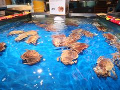 -盒马鲜生(杭州运河上街店)