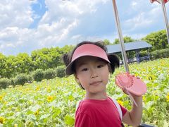 -广东花都香草世界旅游度假区