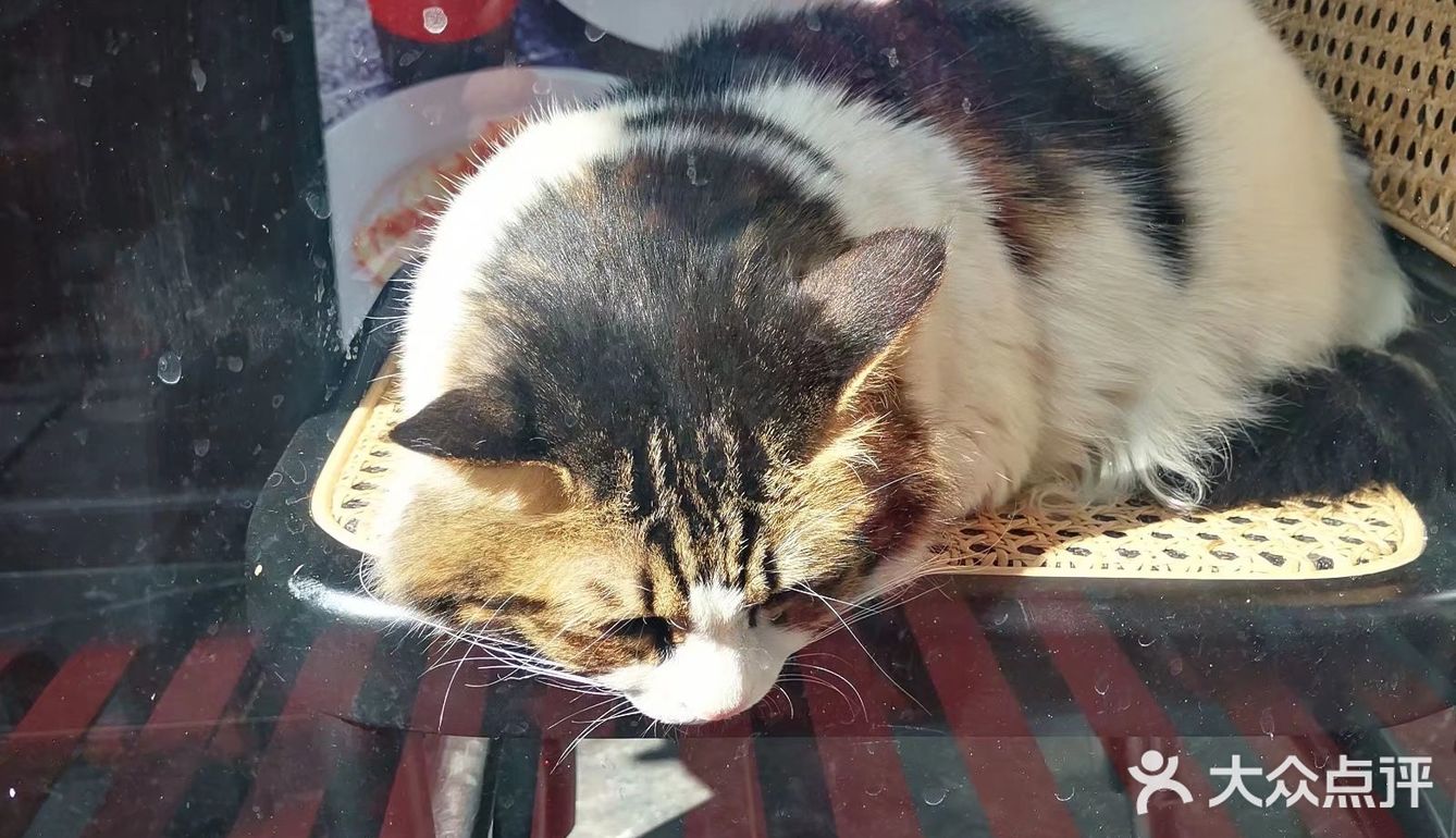 荔湾湖旁藏着一个古村落，尽显浓浓西关风情