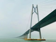 -招商蛇口邮轮母港(观光客运)