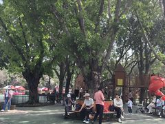-东莞植物园