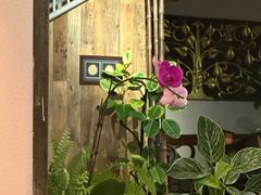-山色西餐·柴火烤披萨