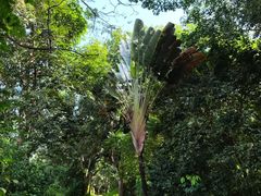-海南热带野生动植物园