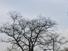 -北京明城墙遗址公园