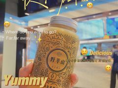 -野萃山·潮汕厚果汁(十亩地店)
