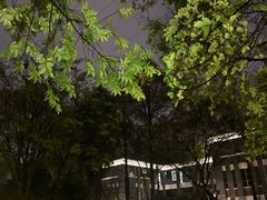 -墨池公园