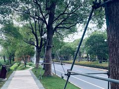 -启东黄金海滩景区