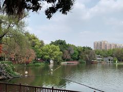 -荔湾湖公园