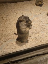 -酷嗒动物文化乐园(cutezoo西溪乐天城店)