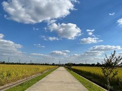 -嘉北郊野公园