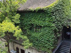-梅园