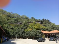 -鲤鱼塘农家山庄