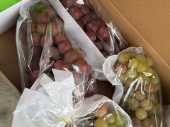 -马陆小张葡萄园农家乐