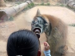 -杭州野生动物世界
