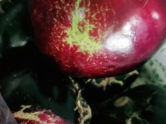 -三旗百汇商品城