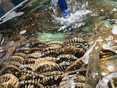 -徐记海鲜·宴会(大唐西市|丰庆店)