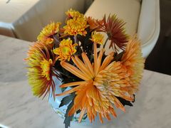 -南堂馆·新川菜(春熙路店)