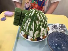 -王守财小山園