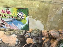-杭州野生动物世界