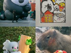 -红山森林动物园