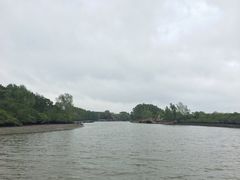 -东寨港红树林旅游区