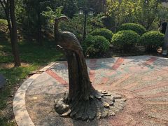 -武清南湖绿博园