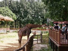 -北京野生动物园