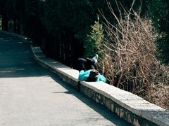 -佛慧山