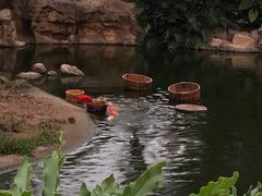 -横琴湾水世界