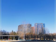 -大望京公园
