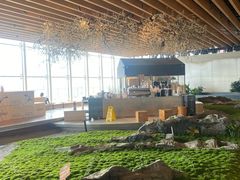 -Seesaw Coffee(朝阳大悦城店)
