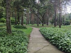-黑龙江省森林植物园
