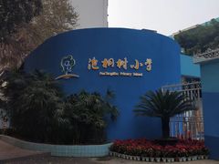 -泡桐树街