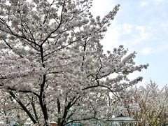 -龙美术馆(西岸馆)