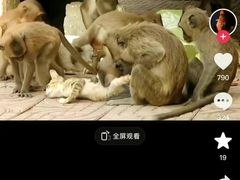 -昆明动物园