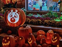 -郑州方特梦幻王国