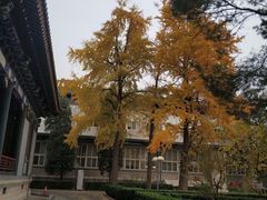 -国家图书馆·古籍馆